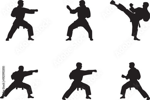 Martial arts silhouette set