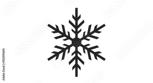 A black snowflake illustration on a white background viewed from directly above showing intricate details and patterns