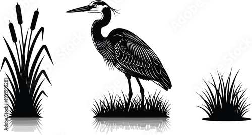 Heron Bird with Reeds Silhouette Illustration Isolated on White Background for Wetland Wildlife Design, Nature Branding, Conservation, and Vector Art Template