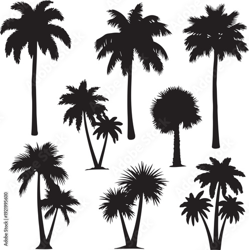 Collection of various palm tree silhouettes isolated on transparent background