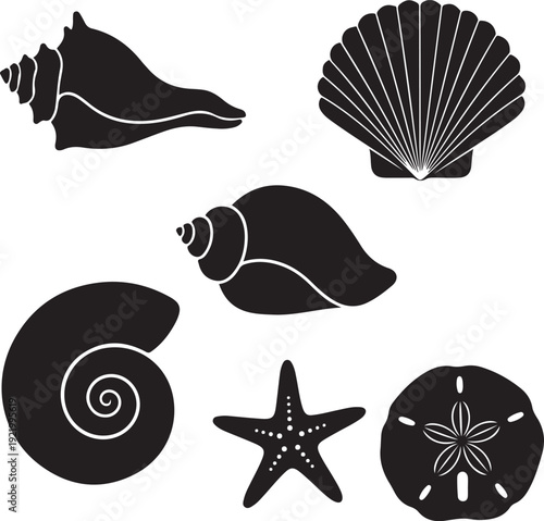 Seashells and starfish silhouettes isolated on transparent background
