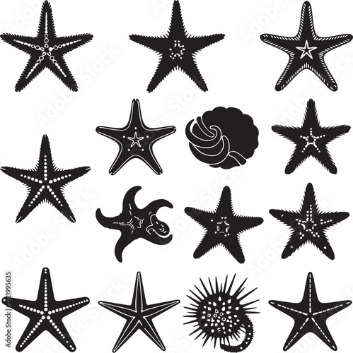 Starfish and sea creatures silhouettes collection isolated on transparent background for marine design