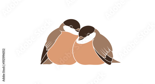 Two small, plump, brown and beige birds with dark heads are snuggled closely together, facing each other on a white background.