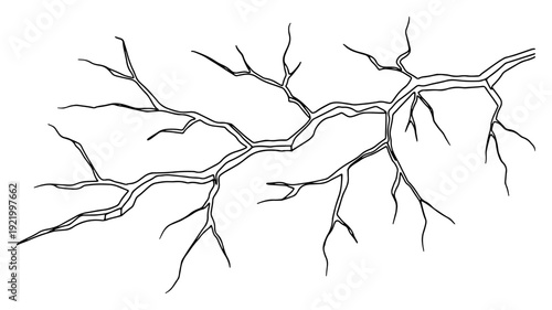 Cracked surface line art with lightning bolt or tree branch structure