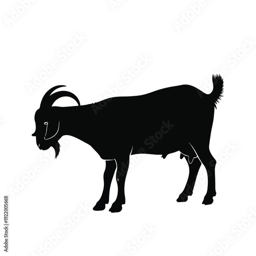 Black Silhouette of a Goat Standing.