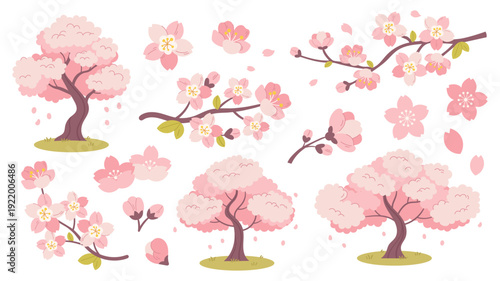 Beautiful vector set of hand-drawn sakura elements: blooming branches, individual cherry blossoms, and falling petals. Perfect for spring-themed branding, wedding invitations, and Japanese culture des
