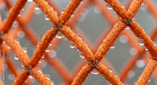 march madness, Orange Rope Net with Water Droplets Close Up Macro
