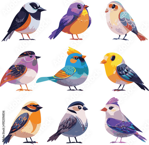 Create a different kinds of Cute birds. Cartoon colorful sparrow characters, happy flying animals with colorful wings and beaks, zoo and wildlife flat style vector art with white background