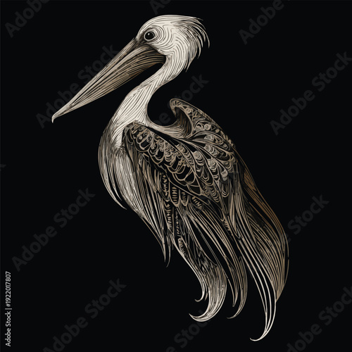 Pelican on black background.pelican bird with beautiful stylized wing side view head black and white vector outline vector art with black background