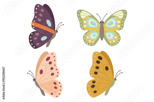 Beautiful Butterfly Collection Vector Illustration with Various Wing Patterns