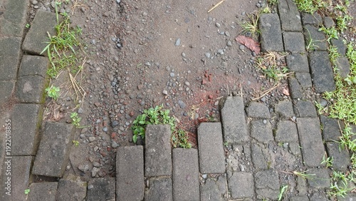 Close-up of damaged uneven paving blocks with weeds, ideal for construction, infrastructure issues, maintenance concepts, urban environment, and safety hazard themes