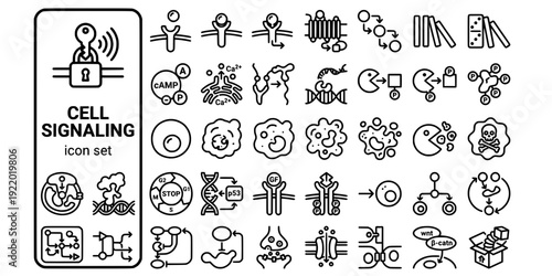 Cell Signaling Communication Bold Line Icons-Ligand Receptor Signal Transduction Second Messenger Protein Kinase Apoptosis Cell Cycle-20 Cell Signaling Icon Set Vector - Molecular Biology Icons