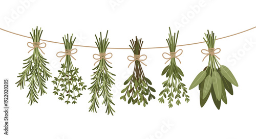 Various fresh green herbs like rosemary, thyme, and sage are neatly tied with natural twine and hung from a horizontal string against a clean white background.