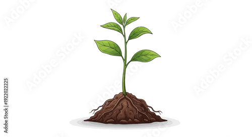 Young Plant Growing Soil.