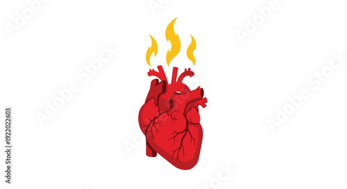 A detailed anatomical human heart in vibrant red is shown with bright yellow flames rising from its upper vessels against a clean white background.