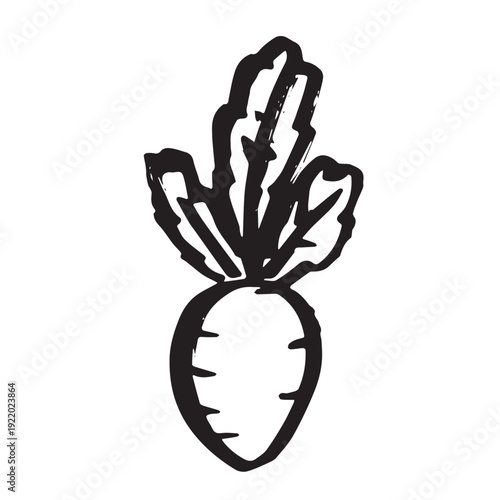Hand drawn farm daikon radish beet beetroot plant with green leaves Fresh vegetable doodle Healthy eco food Organic garden vegetarian food For design, print, packaging, decor, kids books