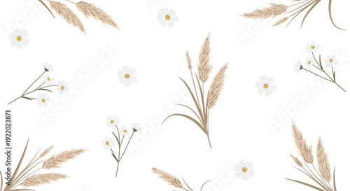 A delicate seamless pattern features scattered dried pampas grass plumes and small white wildflowers with yellow centers on a clean white background.