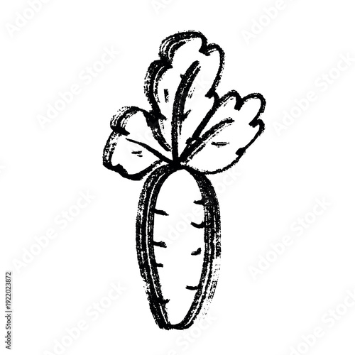 Hand drawn farm daikon radish beet beetroot plant with green leaves Fresh vegetable doodle Healthy eco food Organic garden vegetarian food For design, print, packaging, decor, kids books