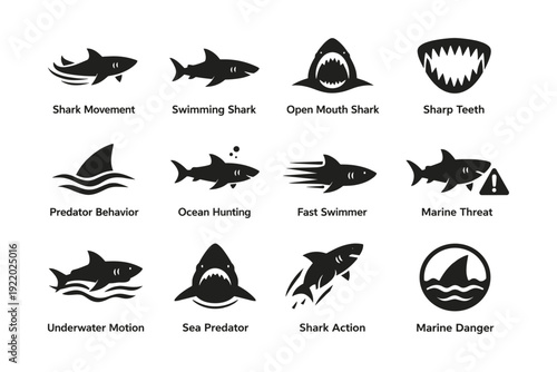 Stylized shark icons set: marine life, predator behavior, sharp teeth, ocean hunting, underwater motion