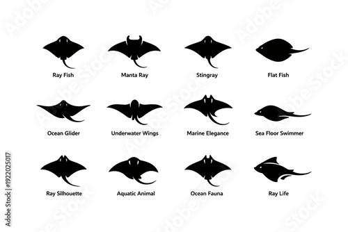 Silhouette collection of marine rays and fish icons