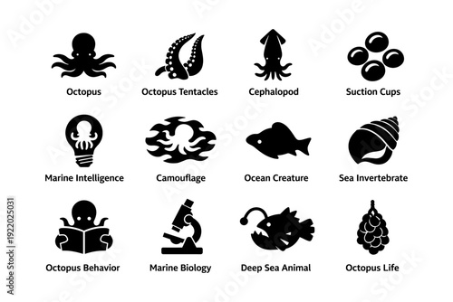 Octopus icons collection: tentacles, cephalopod, marine intelligence