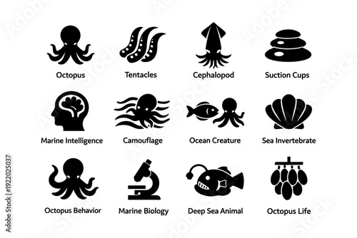 Octopus icons: tentacles, intelligence, ocean creatures, marine biology, sea invertebrates