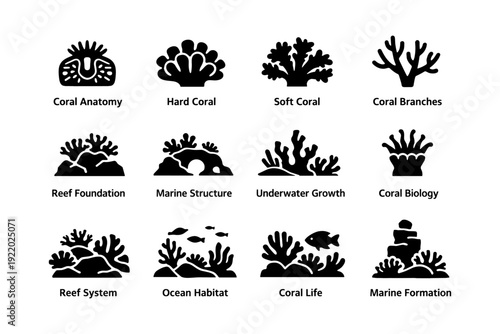 Marine ecosystem icons: coral anatomy, hard coral, soft coral, ocean habitat, marine structure