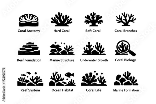 Coral illustrations: anatomy, growth, and marine structures
