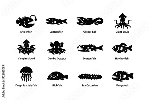 Silhouette illustration of deep sea creatures including anglerfish and giant squid
