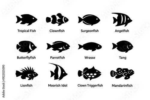 Silhouette collection of tropical fish species including clownfish and angelfish