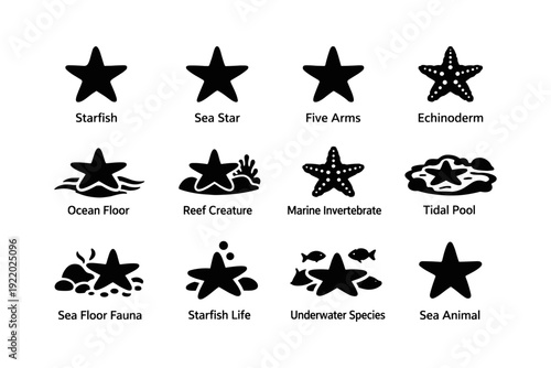 Starfish icons collection: marine symbols and ocean floor life