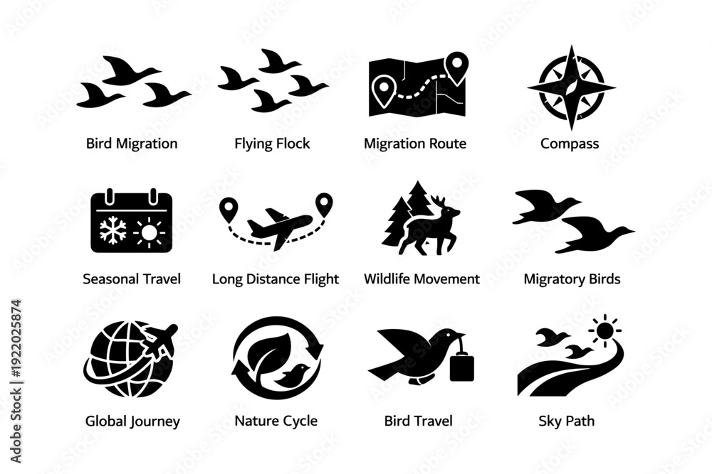 Naklejka premium Icons of bird migration: flight, routes, and nature exploration