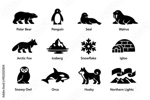 Arctic wildlife and iconic symbols: polar bear, penguin, seal, walrus, arctic fox, iceberg, snowflake, igloo, snowy owl, orca, husky, northern lights