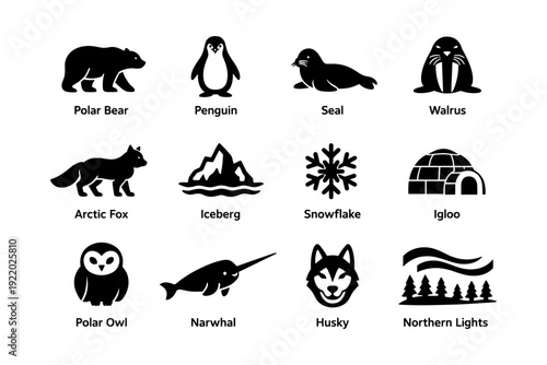 Arctic wildlife icons: polar bear, penguin, seal, walrus, arctic fox, iceberg, snowflake, igloo, owl, narwhal, husky, northern lights