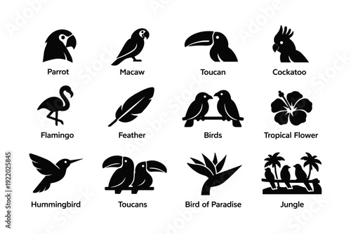 Silhouette icons of tropical birds and flora: parrot, toucan, flamingo, jungle scenes