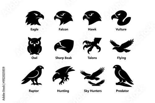 Eagle, falcon, hawk, vulture, owl: iconic bird silhouettes and symbols
