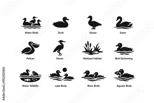 Silhouette icons of water birds: duck, goose, swan, pelican, heron, and aquatic wildlife