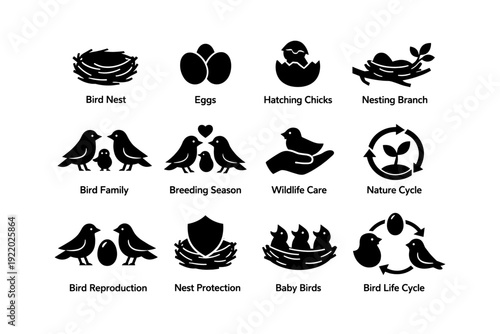 Bird life cycle icons: nest, eggs, hatching, family, wildlife care, reproduction, protection