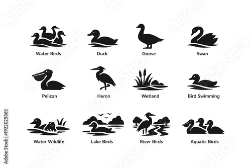 Silhouette illustrations of various water birds and aquatic wildlife icons