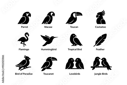 Silhouette icons of various birds including parrot, toucan, flamingo, and lovebirds