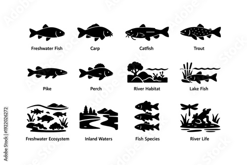 Silhouettes of freshwater fish and aquatic habitats featuring carp catfish trout