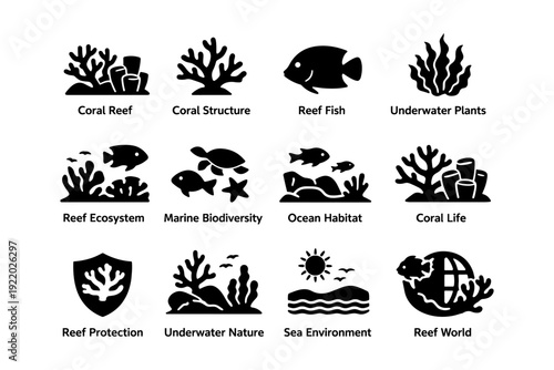Coral reef icons: marine biodiversity and ocean habitat illustrations