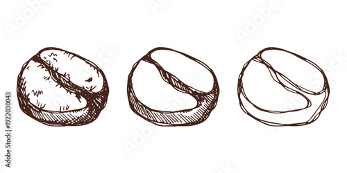 Set of hand drawn fresh roasted coffee bean Arabica robusta seed doodle Single element for design print packaging label decor