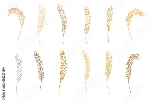 Set of hand drawn cereal wheat oat rye barley rice ears spikelet clipart Organic wheat bread agriculture farming harvest healthy food Single element for design print packaging label decor