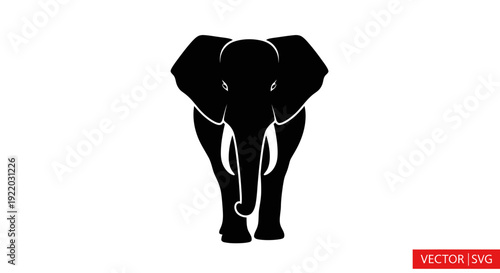 Silhouette of an African elephant facing forward, vector graphic