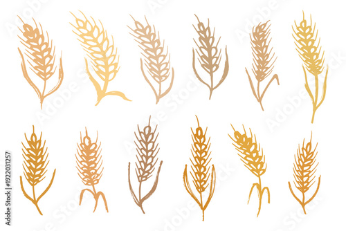 Set of hand drawn cereal wheat oat rye barley rice ears spikelet clipart Organic wheat bread agriculture farming harvest healthy food Single element for design print packaging label decor