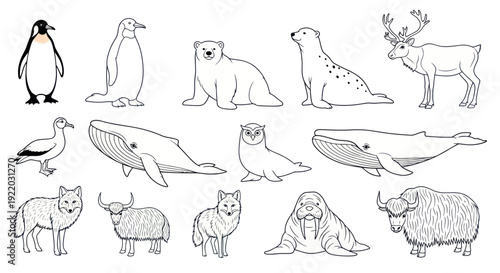 Arctic and Antarctic Animals Collection: Penguin, Polar Bear, Whale, Reindeer, Walrus