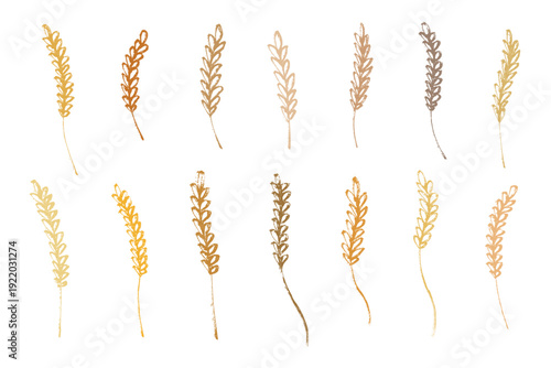 Set of hand drawn cereal wheat oat rye barley rice ears spikelet clipart Organic wheat bread agriculture farming harvest healthy food Single element for design print packaging label decor