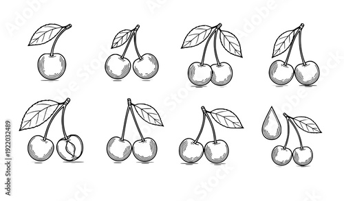 Hand Drawn Cherry Line Art Vector Set with Leaf Details Isolated on White Background