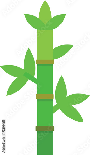Lucky bamboo stalk illustration with green leaves
